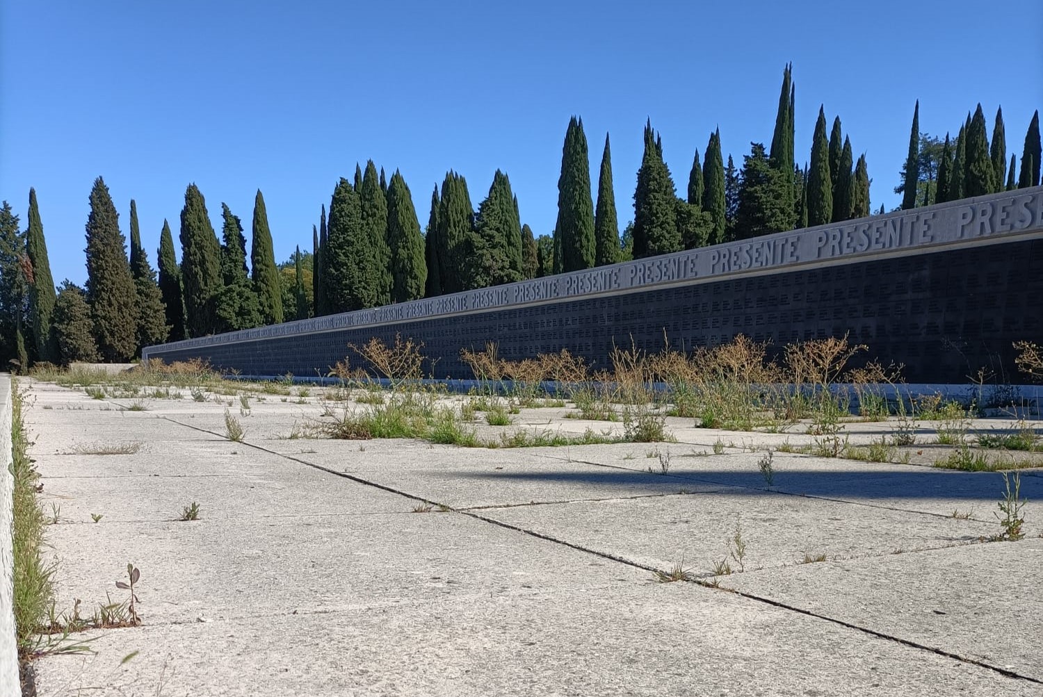 Immagine per Sacrario di Redipuglia invaso dalle erbacce, sabato la prima pulizia urgente